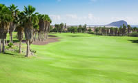 golf del sur